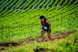 BIB: 
                            <button type="button" onclick="openModal(19161380)" class="btn btn-primary btn-sm float-right btn-popup" data-toggle="modal" data-target=".modal-high-quality">
                        <i class="fas fa-shopping-cart"></i> Add to Cart
                    </button>
                                            <button type="button" onclick="isThisMe(19161380, true)" class="btn btn-success btn-sm float-right btn-popup btn-isme hidden" data-toggle="tooltip" data-placement="bottom" title="นี่คือรูปของคุณใช่ไหม คลิกที่นี่เพื่อเอาเข้าอัลบั้ม">
                        <i class="fas fa-plus"></i> Add to album
                    </button>
                    <button type="button" onclick="isThisMe(19161380, false)" class="btn btn-warning btn-sm float-right btn-popup btn-isnotme hidden">
                        <i class="fas fa-ban"></i> Remove from album
                    </button>